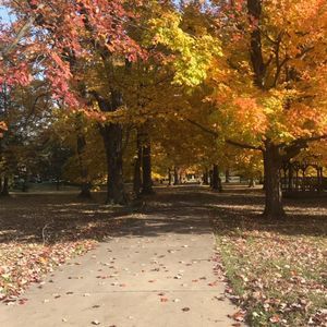 Meet your Posher, Lacy